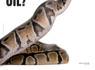 The October issue: AdNews in Print
